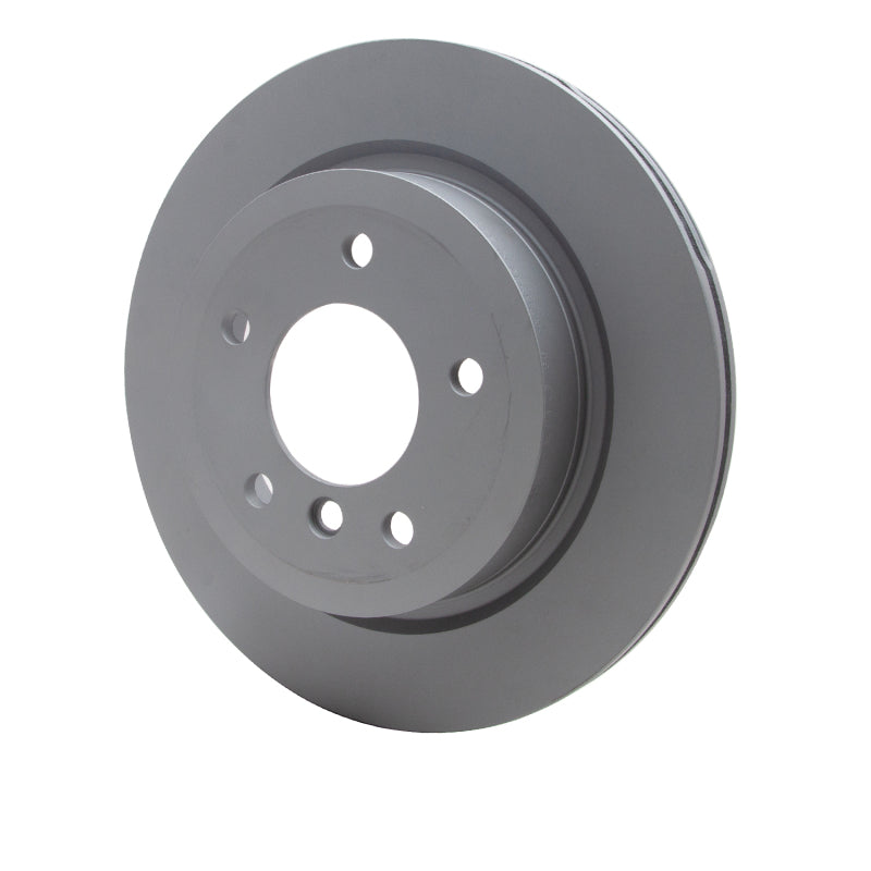 DFC 09-16 BMW Z4 Rear GeoSPEC Coated Rotor