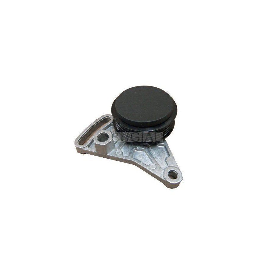 BUGIAD Bsp23024 Tensioner Lever, V-Ribbed Belt