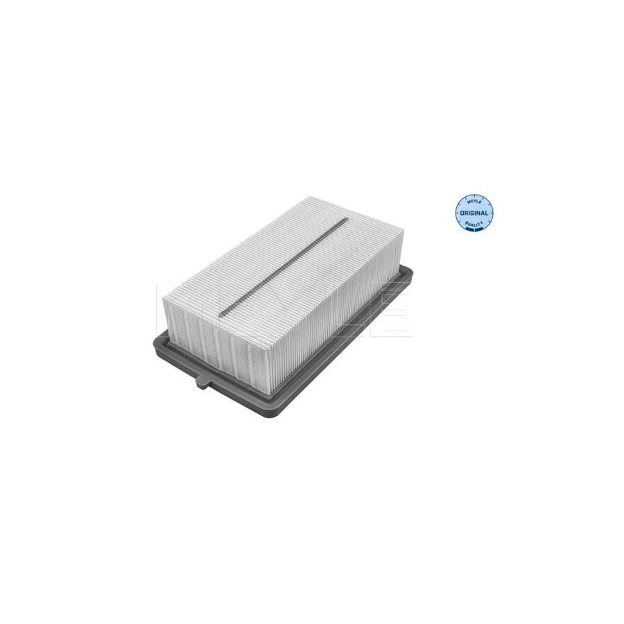 Meyle 36-12 321 0020 Air Filter