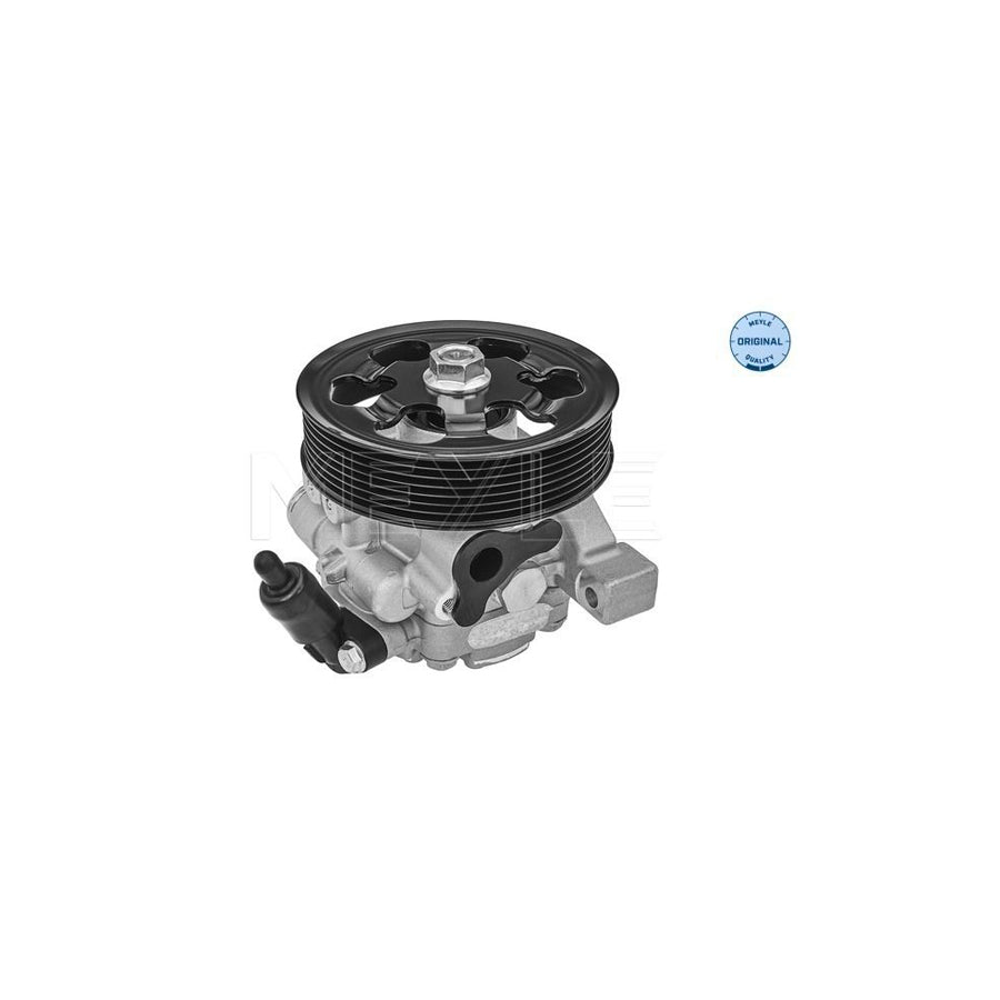 Meyle 31-14 631 0002 Power Steering Pump