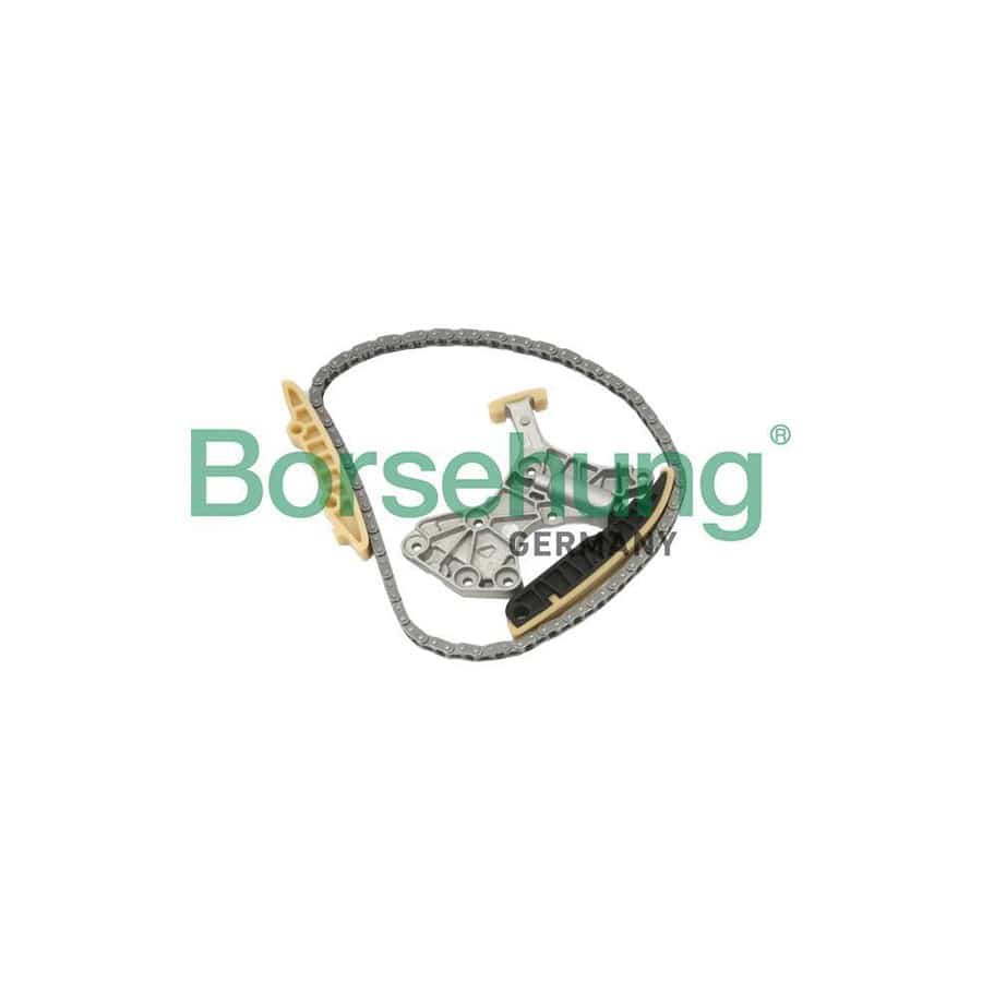 Borsehung B10205 Timing Chain Kit