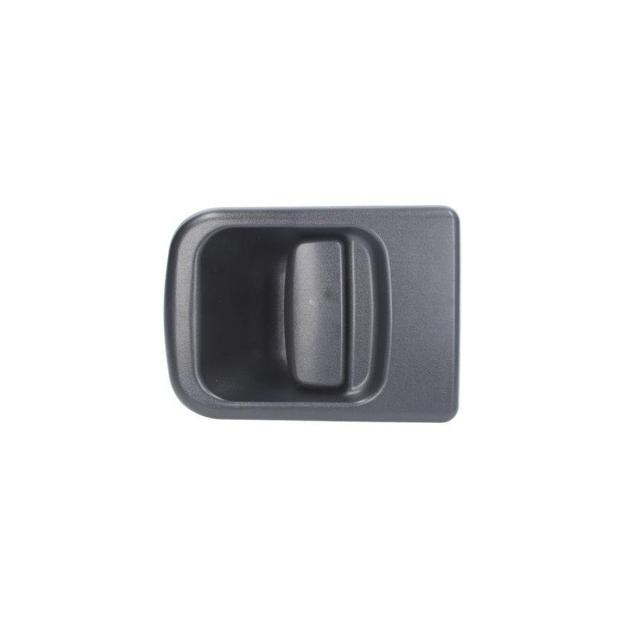 Blic 6010-09-032417P Door Handle
