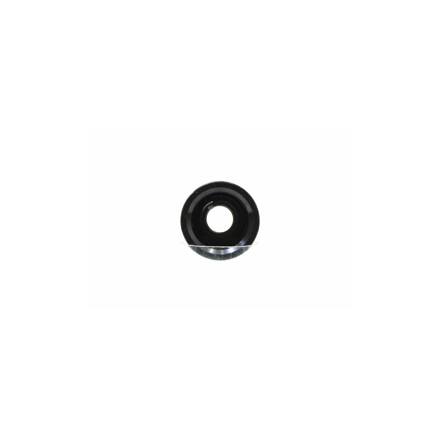 Alanko 10723023 Pulley, Alternator