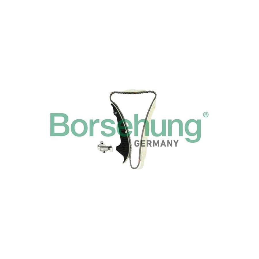 Borsehung B10203 Timing Chain Kit