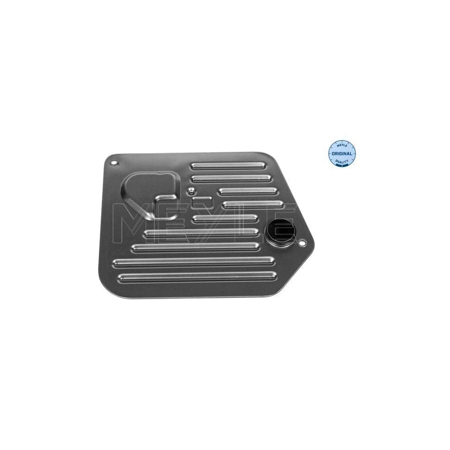 Meyle 300 243 4107 Hydraulic Filter, Automatic Transmission