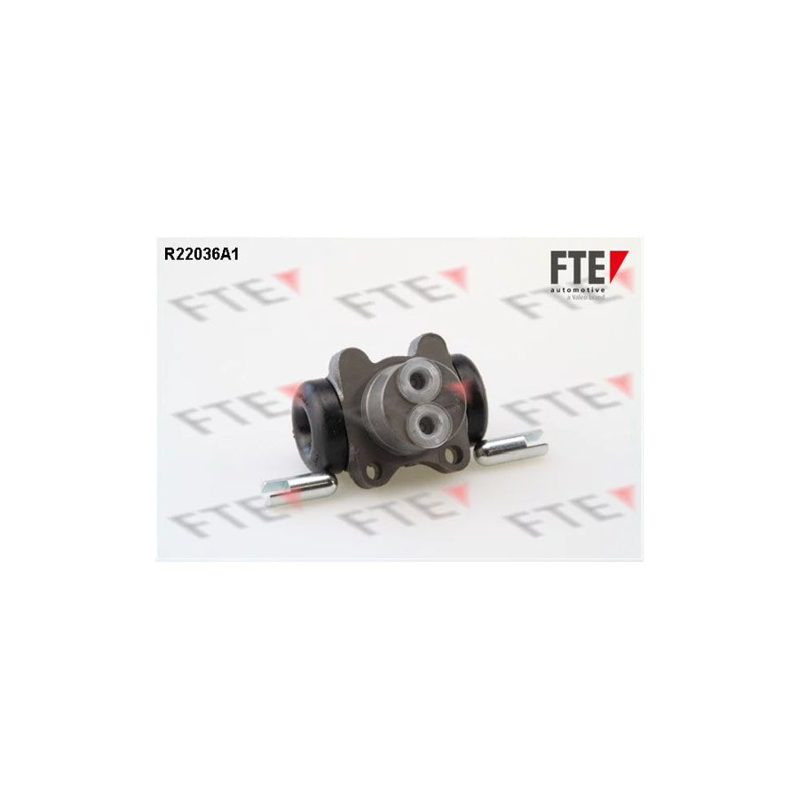FTE R22036A1 Wheel Brake Cylinder