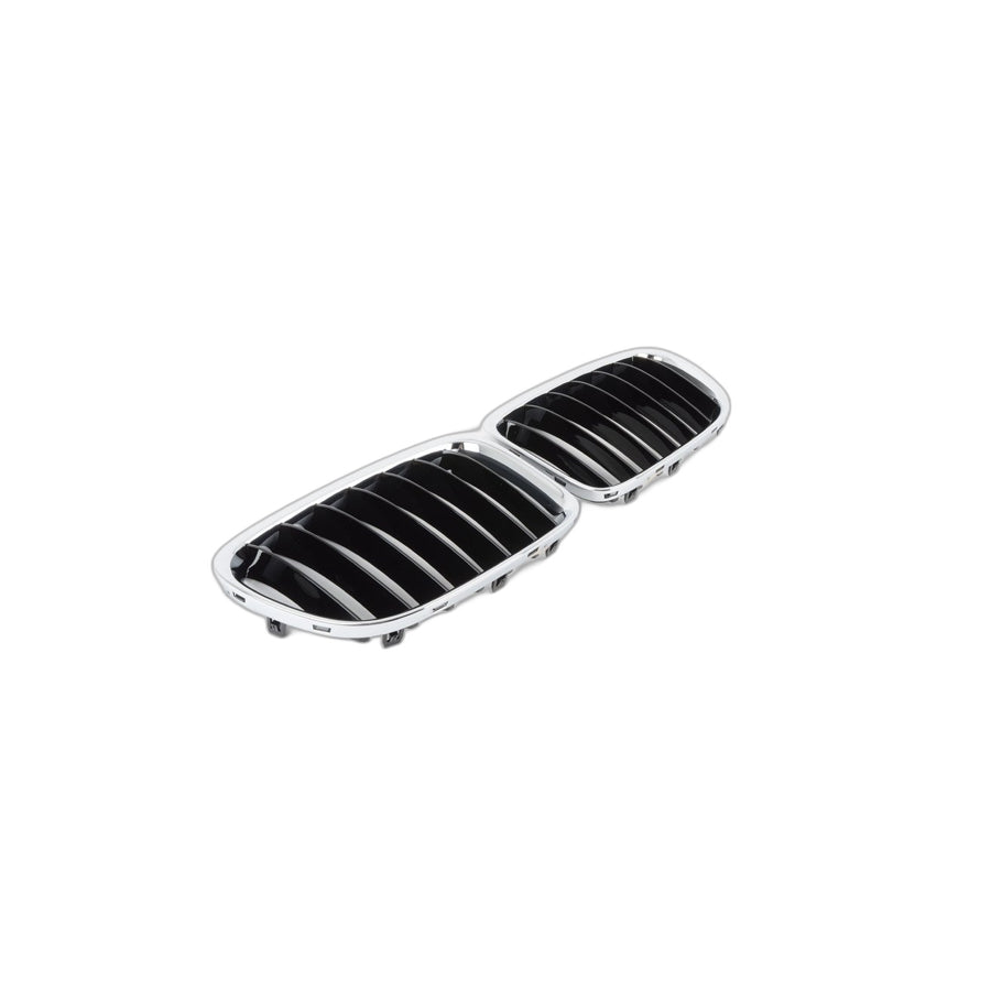Genuine BMW 51117347670 E84 Set Of Trim Grills, Front SPORTLINE (Inc. X1 20dX, X1 25iX & X1 35iX) | ML Performance US Car Parts