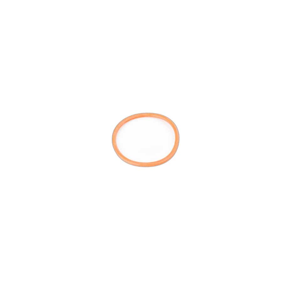 Genuine BMW 11657850066 F82 F87 O-Ring (Inc. M4 GTS, M4 CS & M3) | ML Performance UK Car Parts