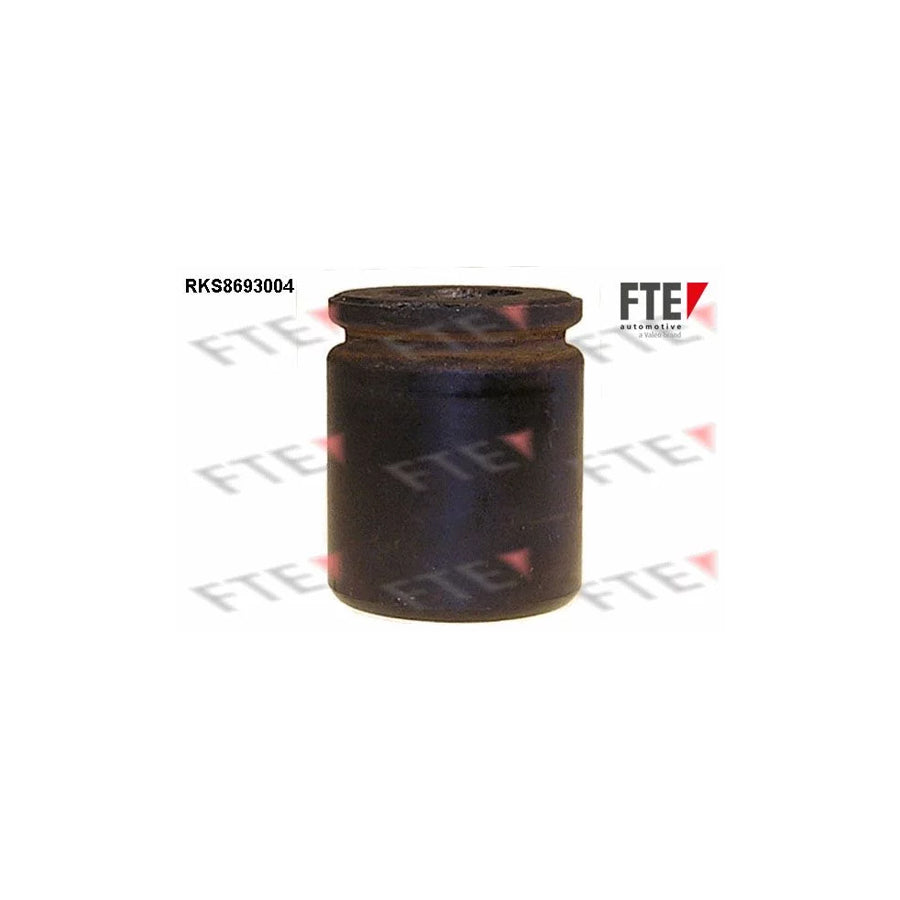 FTE Rks8693004 Piston, Brake Caliper for Chrysler Voyager