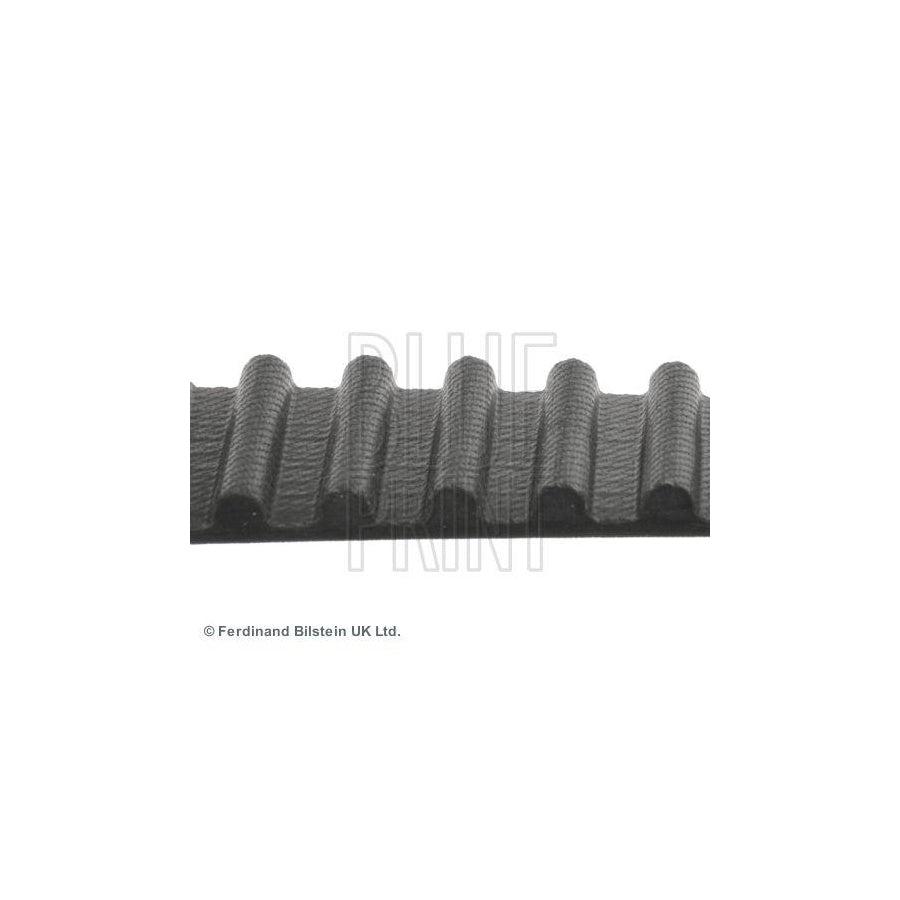 Blue Print Adh27508 Timing Belt