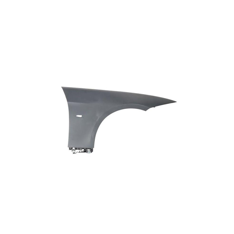 Blic 6802-00-2564451P Hinge, Bonnet For Ford Fiesta