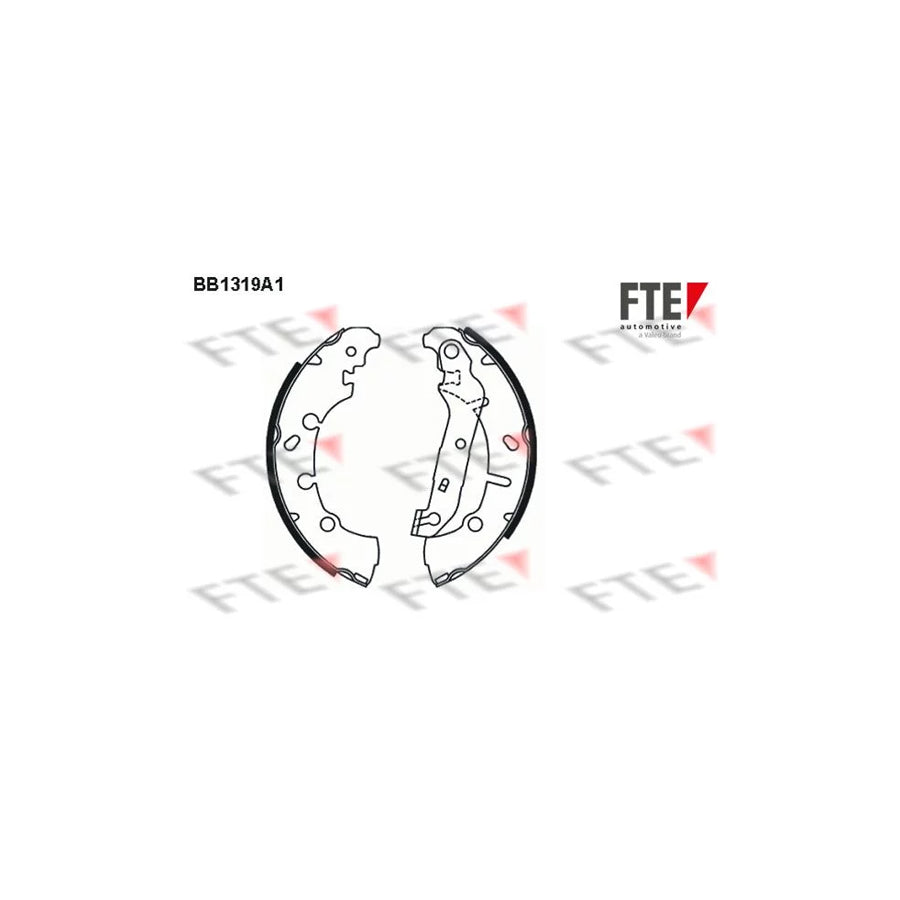 FTE 9100080 Brake Shoe Set