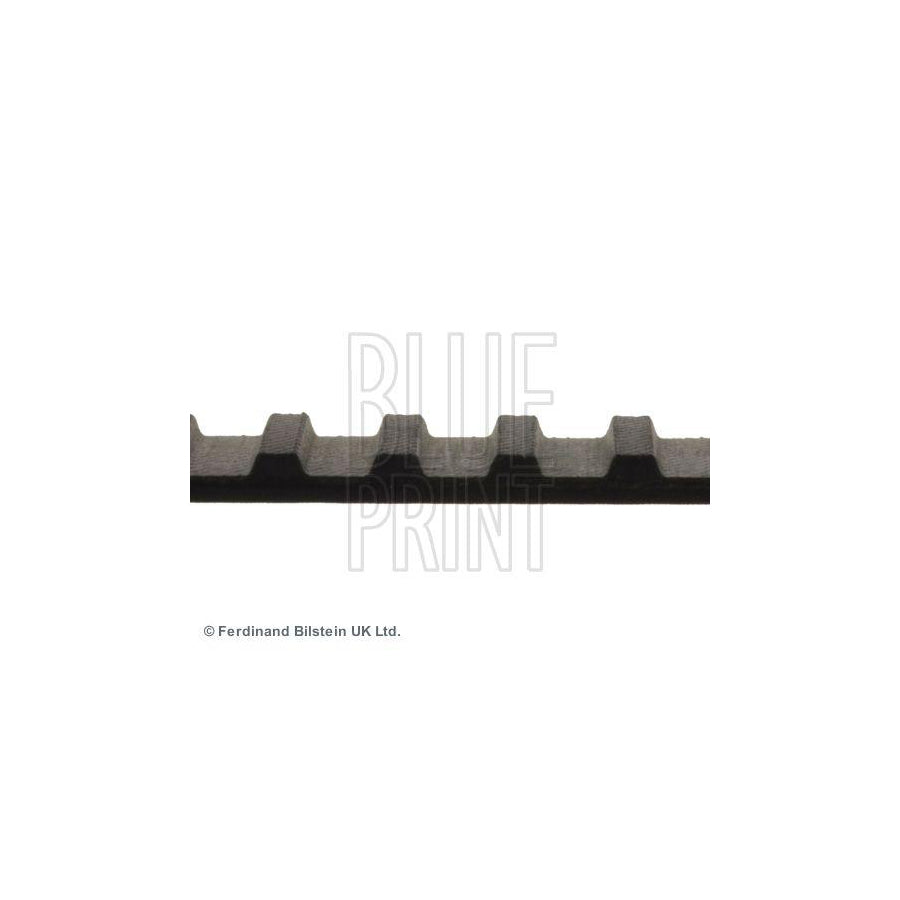 Blue Print Adh27505 Timing Belt