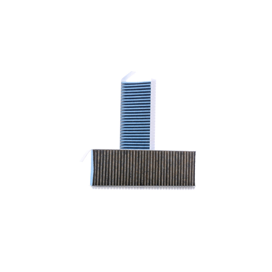 Master Sport 29003-2-IFB-SET-MS Pollen Filter