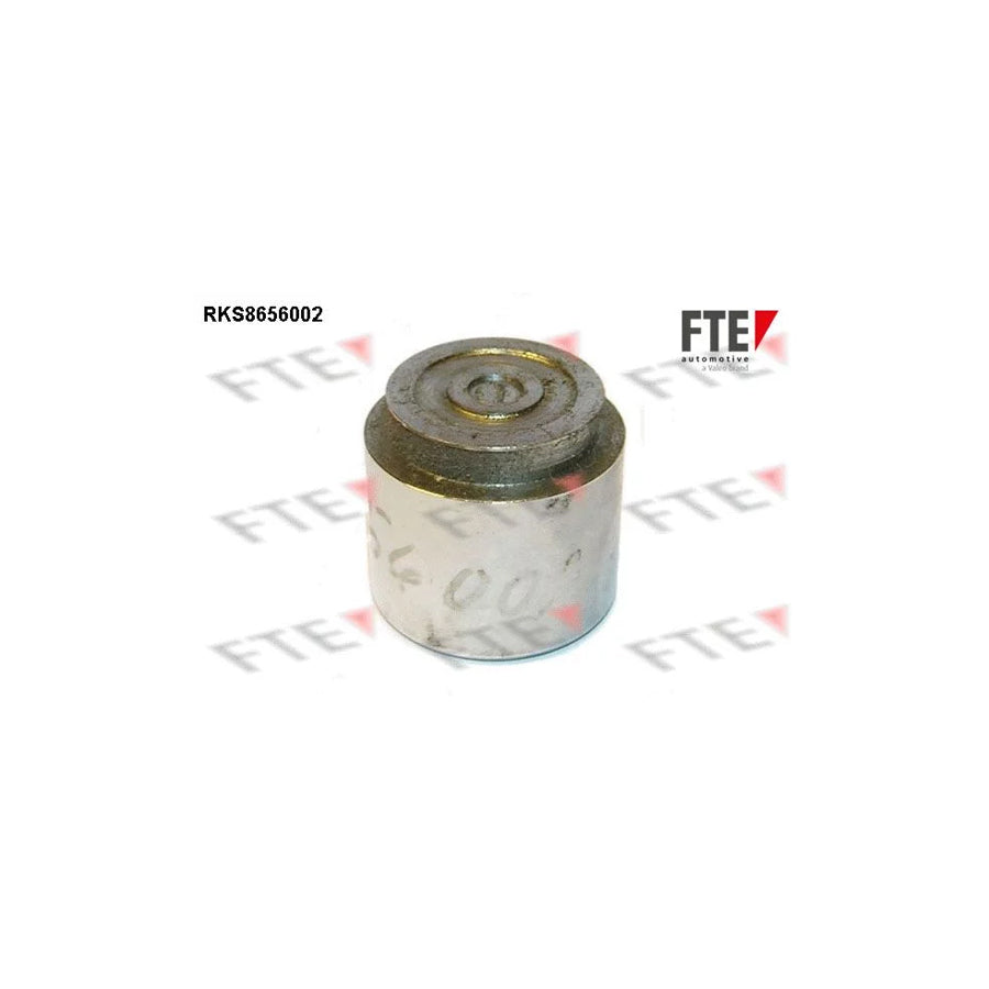 FTE Rks8656002 Piston, Brake Caliper