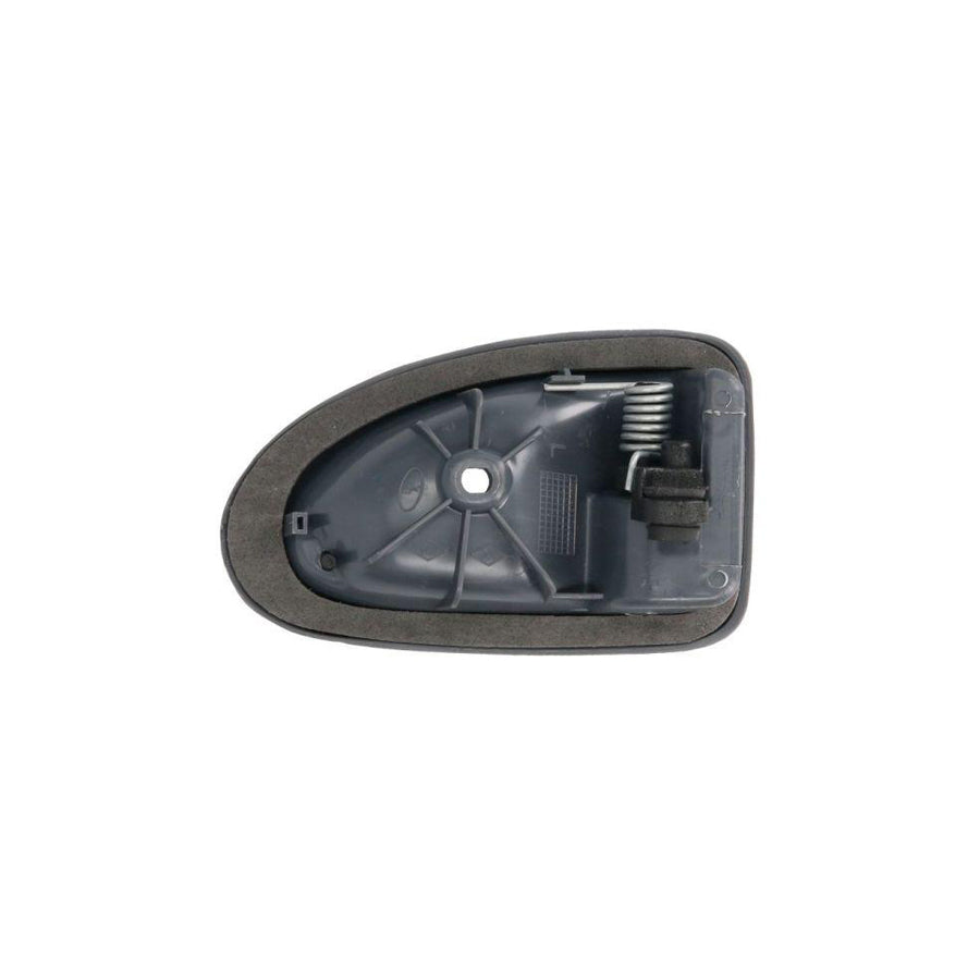 Blic 6010-09-032409Pp Door Handle