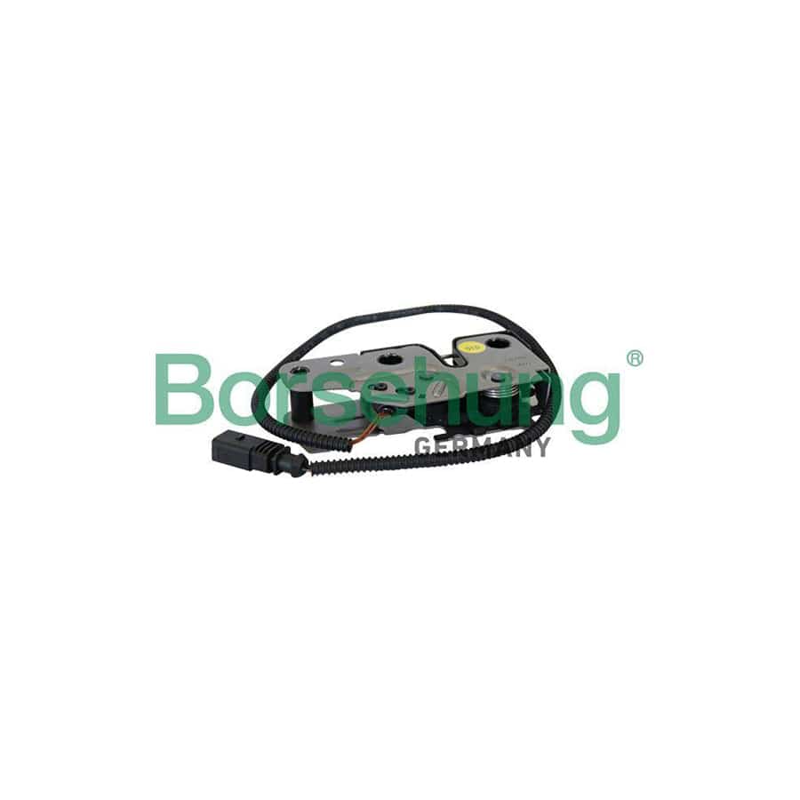 Borsehung B10265 Bonnet Lock for VW Tiguan I (5N)