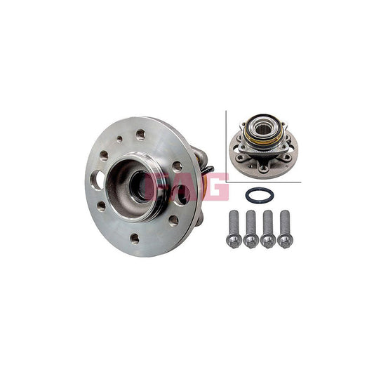 FAG 713 6683 50 Wheel Bearing Kit