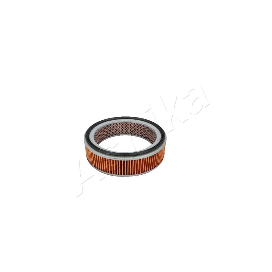 Ashika 20-00-000 Air Filter
