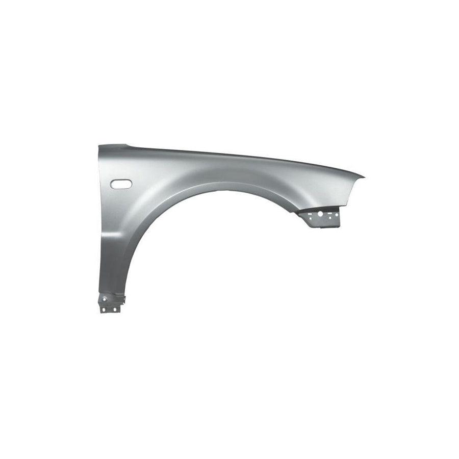 Blic 6601-01-0058807P Repair Panel For BMW 5 Series