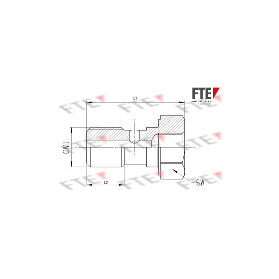 FTE A0525 Hollow Screw