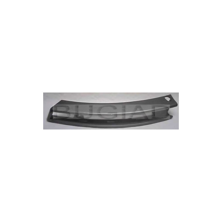 BUGIAD Bsp21334 Cover, Bumper for VW Passat