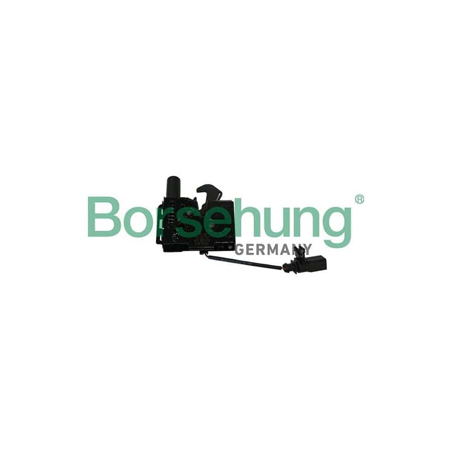 Borsehung B10261 Bonnet Lock for Audi A4