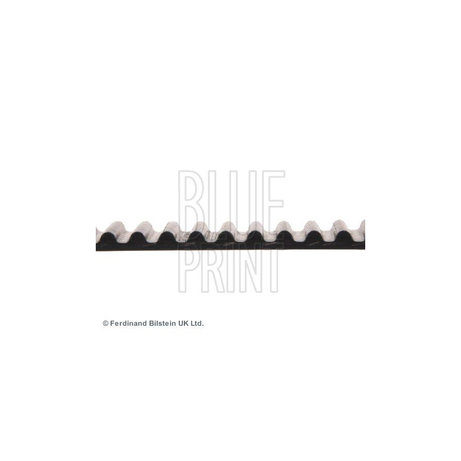 Blue Print Adh27532 Timing Belt