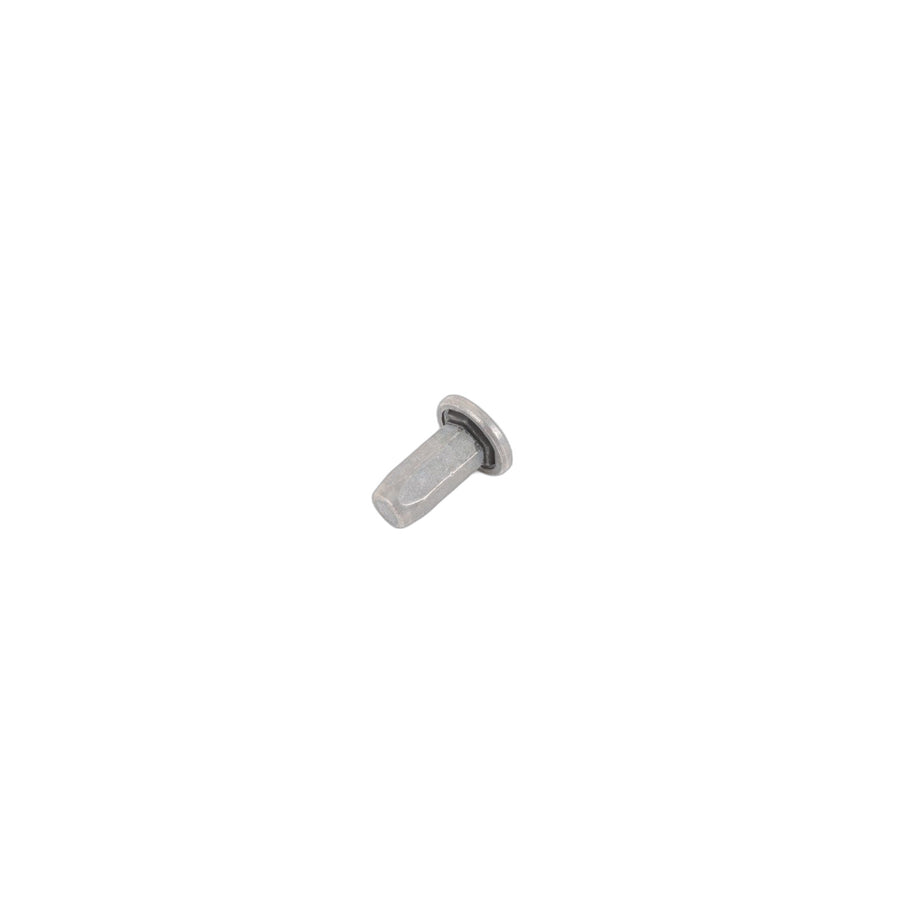 Genuine BMW Mini 07149174618 F04 F12 G05 Blind Rivet Nut, Flat Headed M6 (Inc. JCW ALL4) | ML Performance US Car Parts