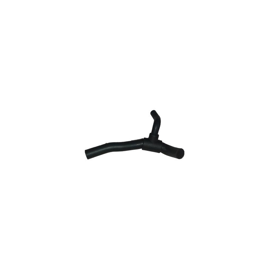 BUGIAD Bsp23063 Radiator Hose
