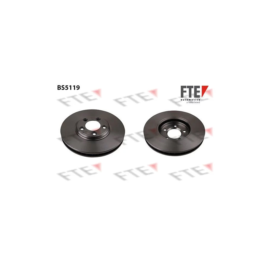 FTE Bs5119 Brake Disc