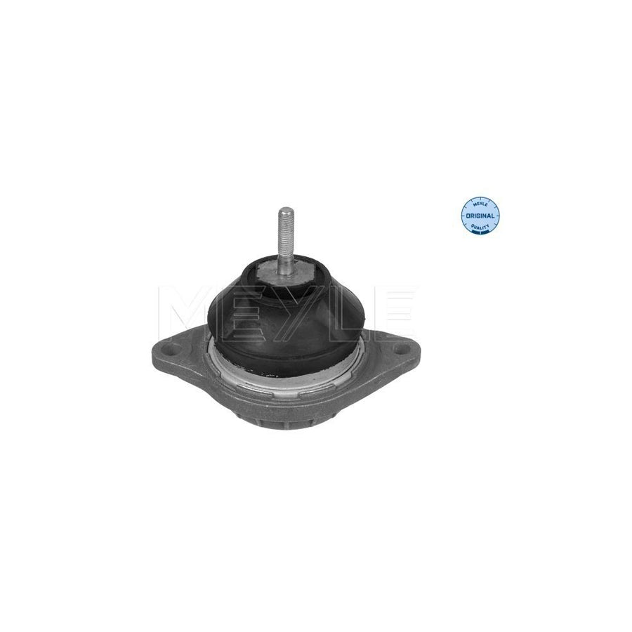 Meyle 100 199 0017 Engine Mount