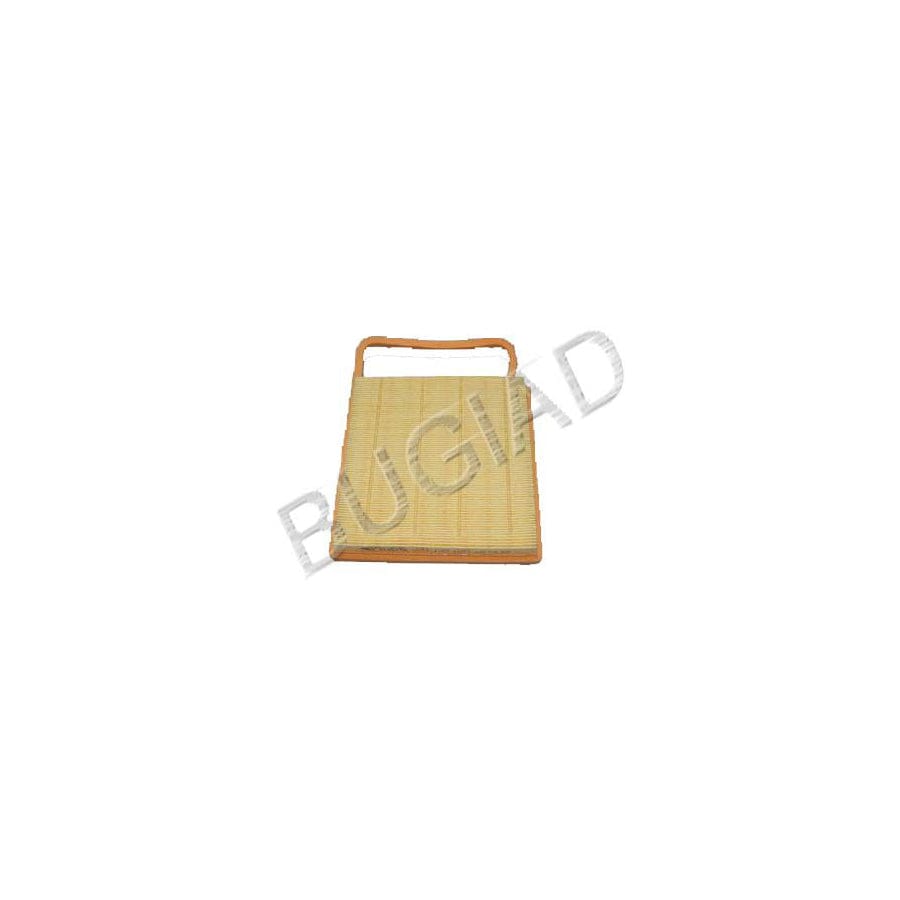 Bugiad BSP20652 Air Filter