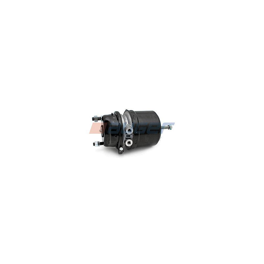 Auger 21138 Spring-Loaded Cylinder
