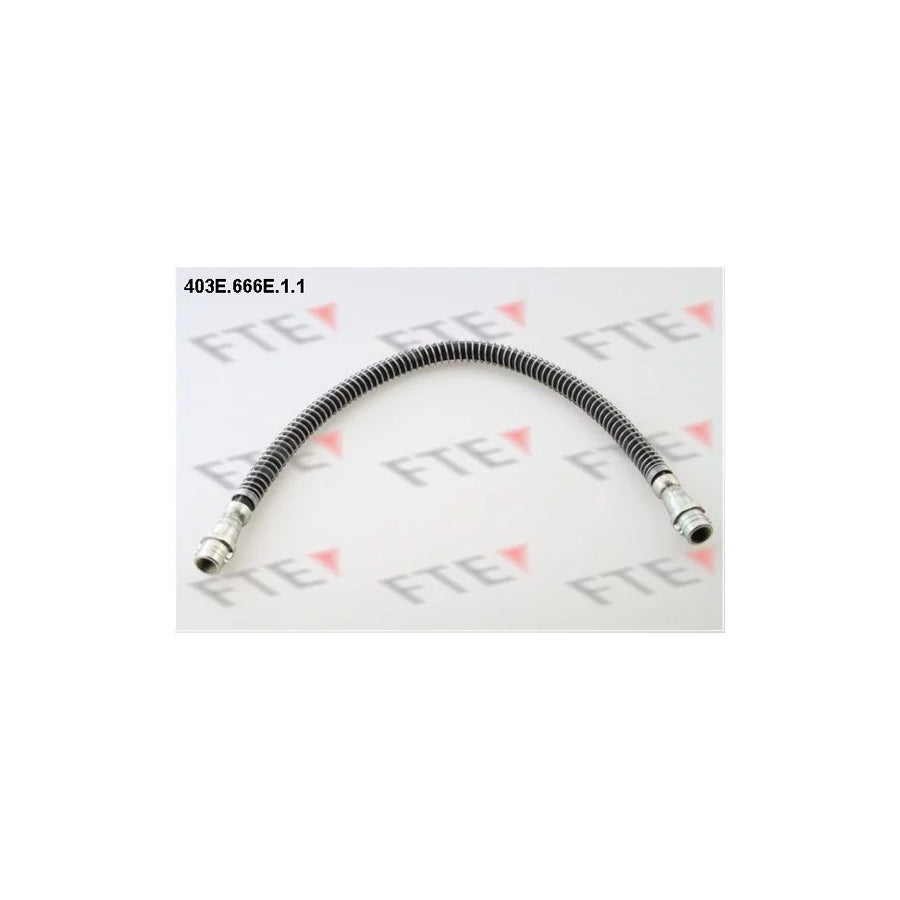 FTE 403E.666E.1.1 Brake Hose