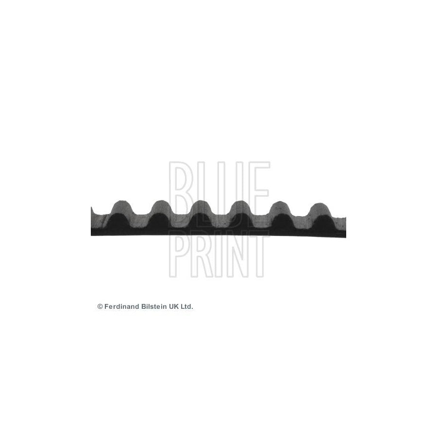 Blue Print Adh27518 Timing Belt