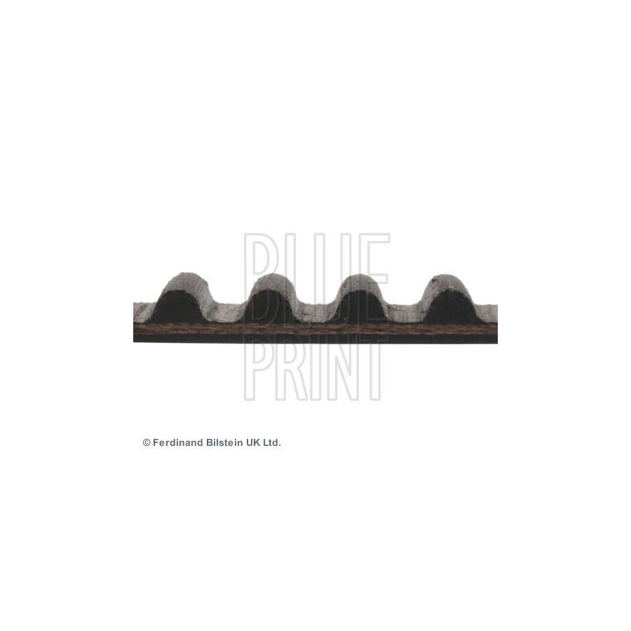 Blue Print Adh27517 Timing Belt