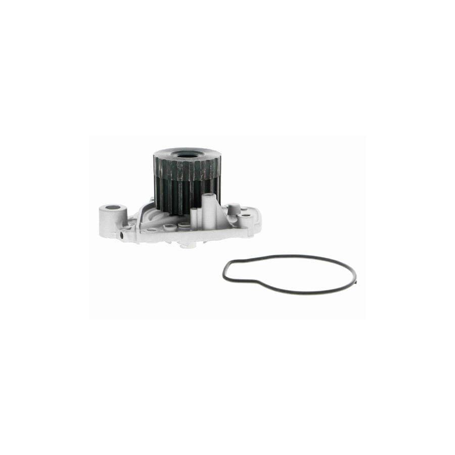 Ackoja A26-50007 Water Pump | ML Performance US