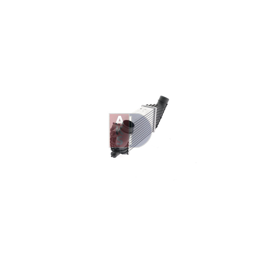 AKS Dasis 128310N Fan Clutch