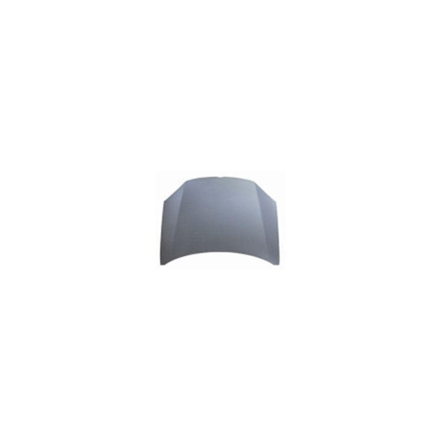 Abakus 05310100 Bonnet for VW Golf V Hatchback (1K1)