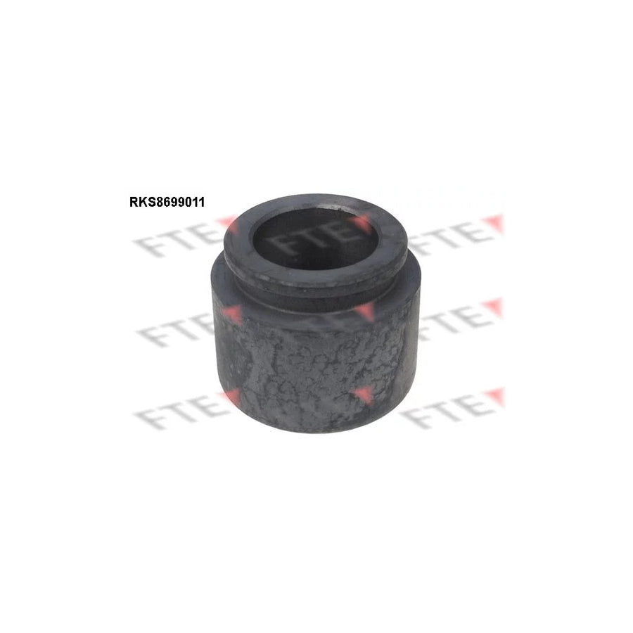 FTE Rks8699011 Piston, Brake Caliper