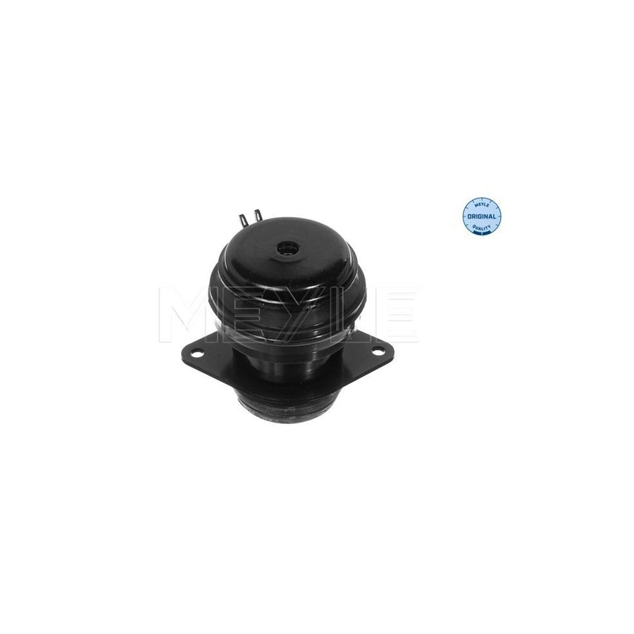 Meyle 100 199 0037 Engine Mount