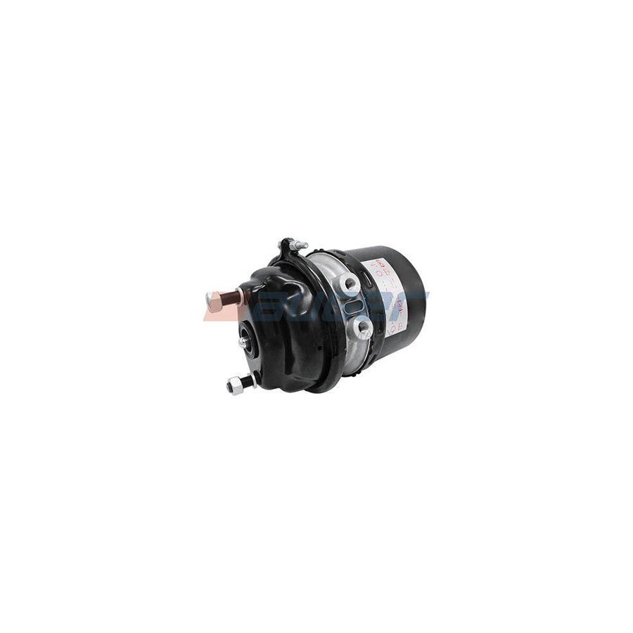 Auger 21162 Spring-Loaded Cylinder