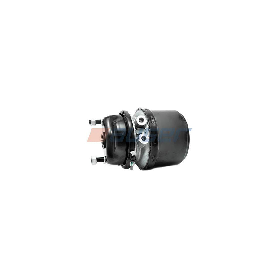 Auger 21161 Spring-Loaded Cylinder