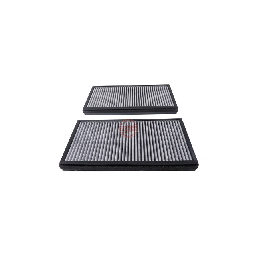 Master Sport 3124-2-IF-SET-MS Pollen Filter