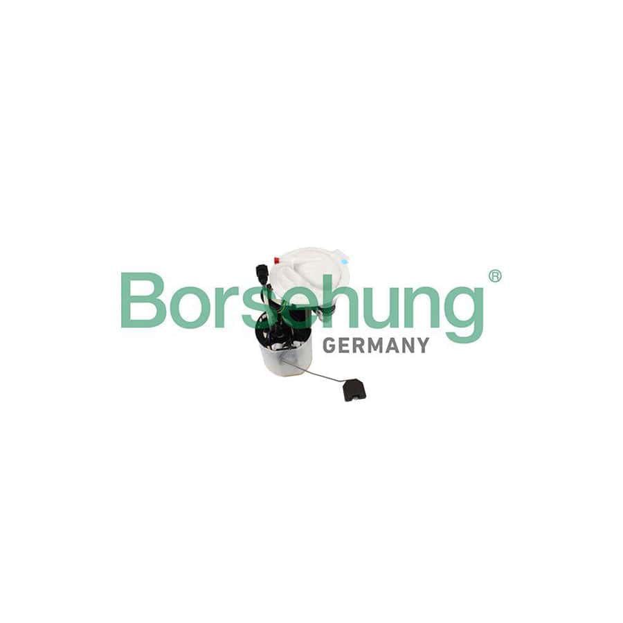 Borsehung B10402 Fuel Pump for VW Passat
