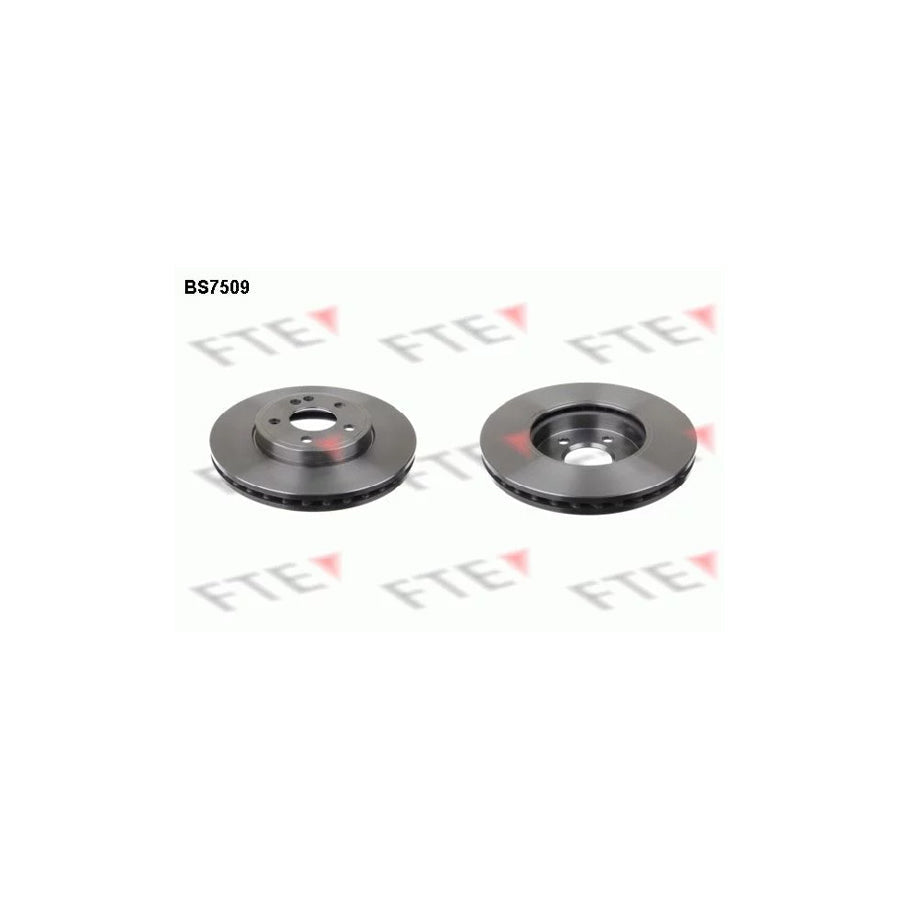 FTE 9071066 Brake Disc