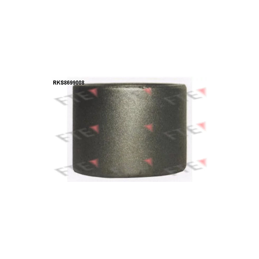 FTE Rks8699008 Piston, Brake Caliper