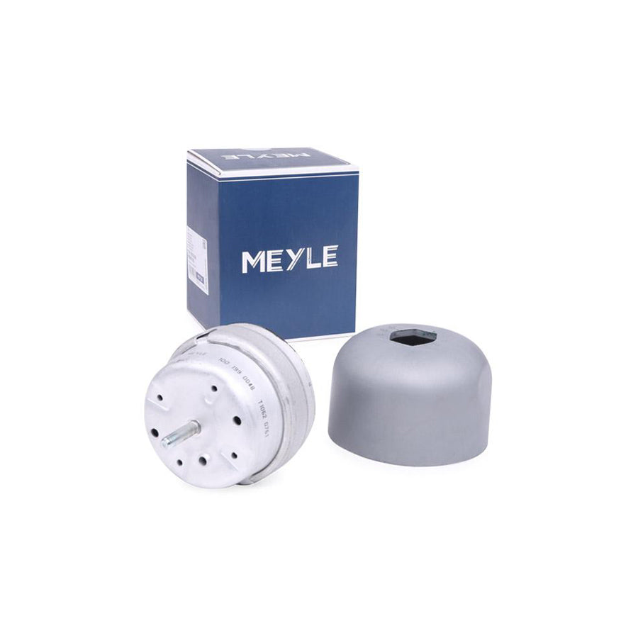 Meyle 100 199 0048 Engine Mount