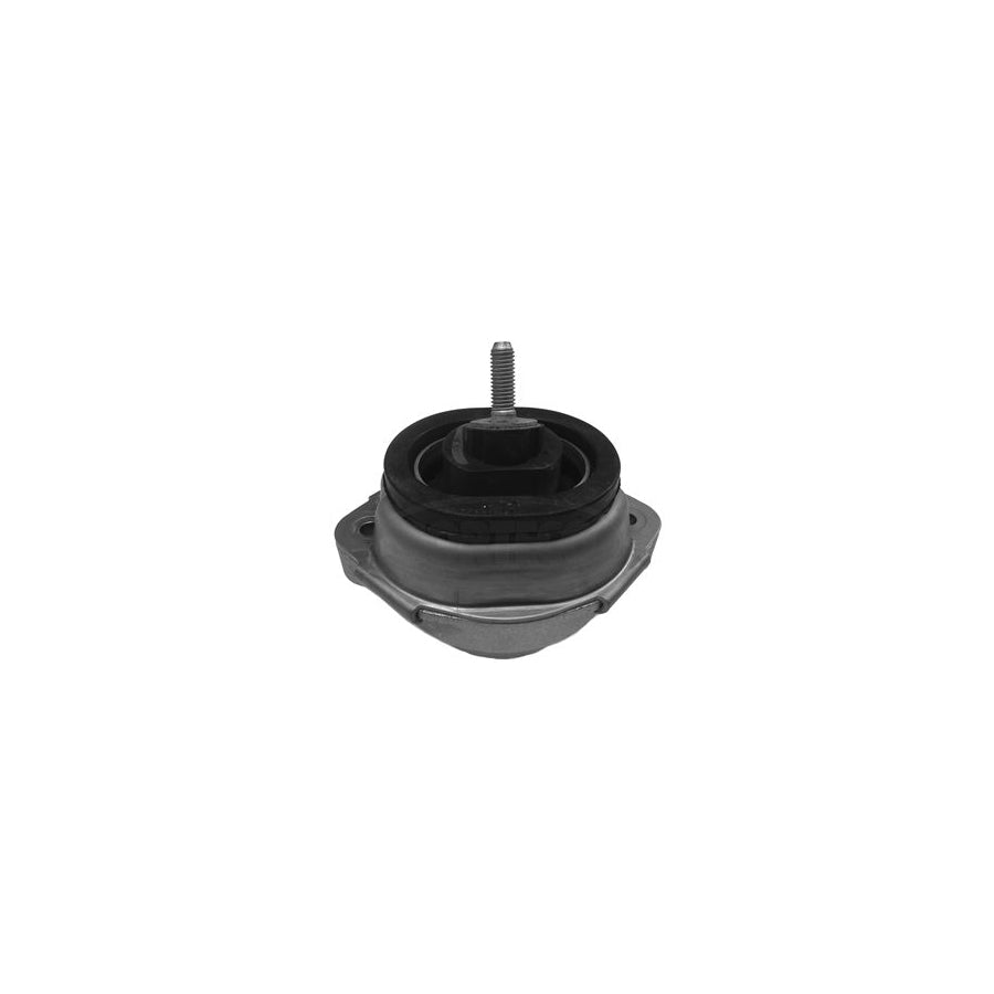 Corteco 80001080 Engine Mount for BMW X5 (E53)